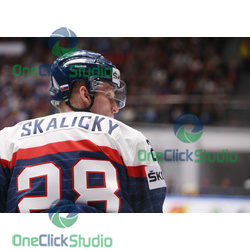 skalicky pavol