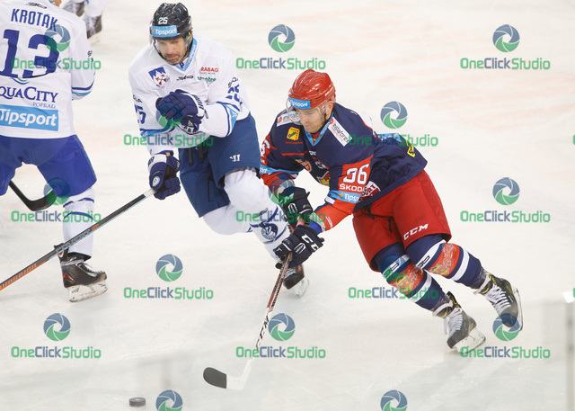 suchy lukas novak