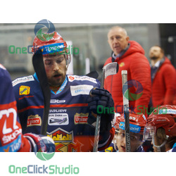 simicek