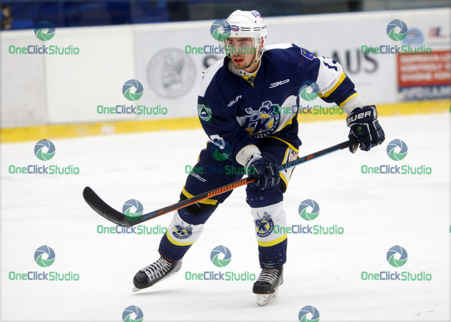 lukas hamracek