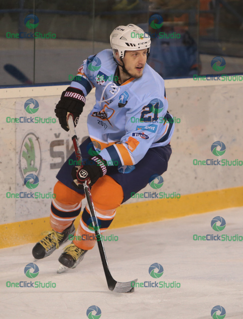 radovan puliš