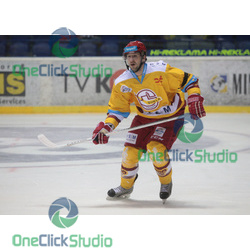 roman tomanek
