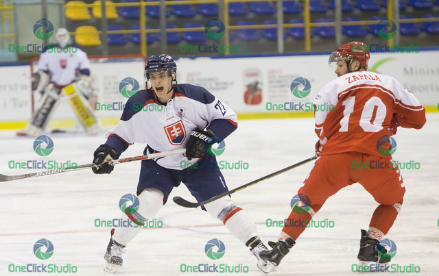 Poľsko - Slovensko (Fetkovič, Zapala)