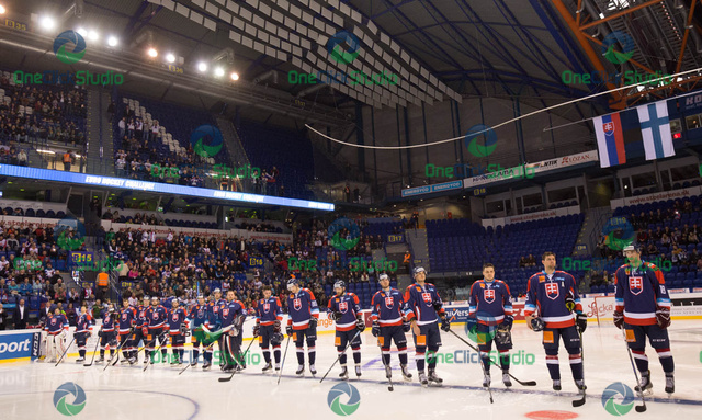 Slovenská reprezentácia v Steel aréne