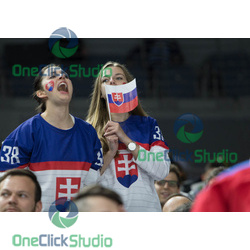 Fanúšičky Slovenska