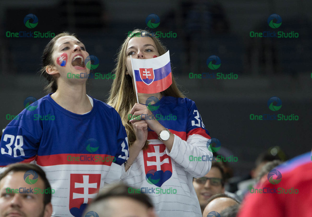 Fanúšičky Slovenska
