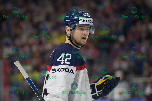 Tomáš Zigo (2)