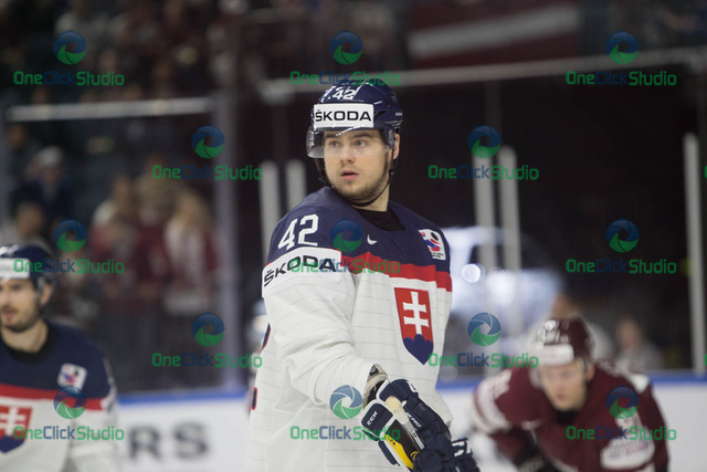 Tomáš Zigo (4)