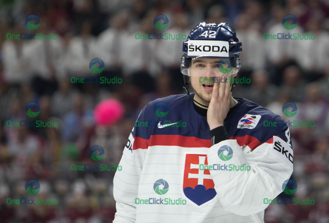 Tomáš Zigo