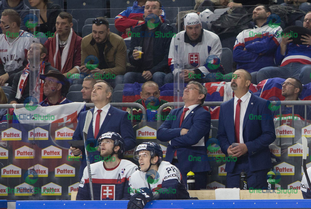 Ulehla Miklošovič Cíger
