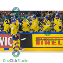 Nylander