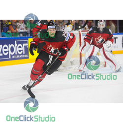 MacKinnon