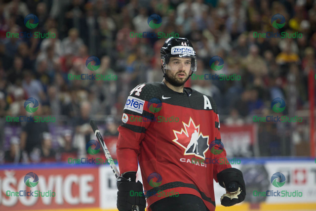 Vlasic