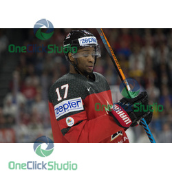 Wayne Simmonds (2)