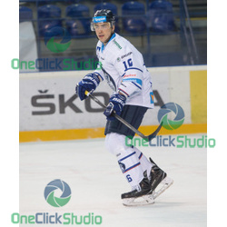 Marcel Petran (2)