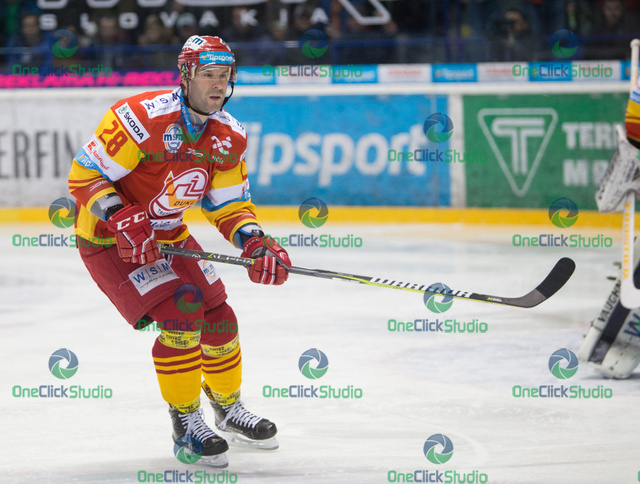 Radek Dlouhý