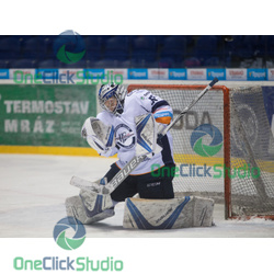 Vladislav Habal