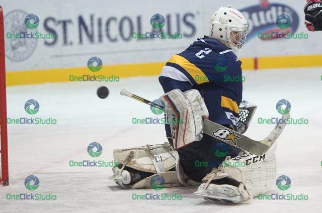 Dominik riečický (2)
