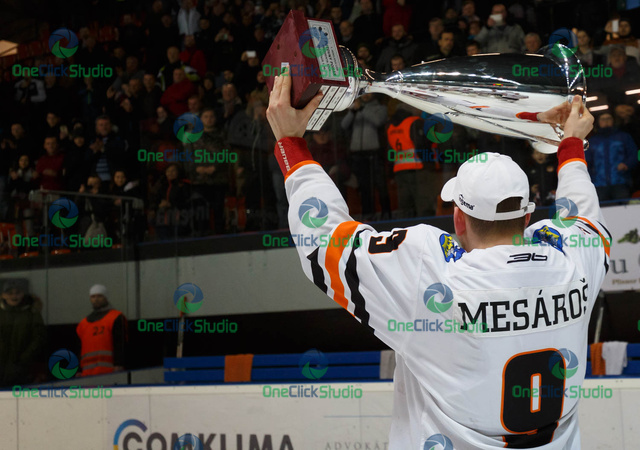 Radoslav Mesaroš