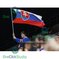 Fanúšik Slovenska