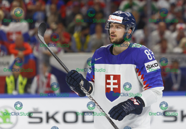 Martin bakoš (4)