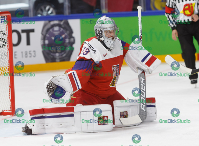 Pavel Francouz (3)
