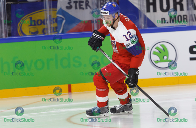 Radek Faksa