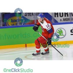 Radek Faksa