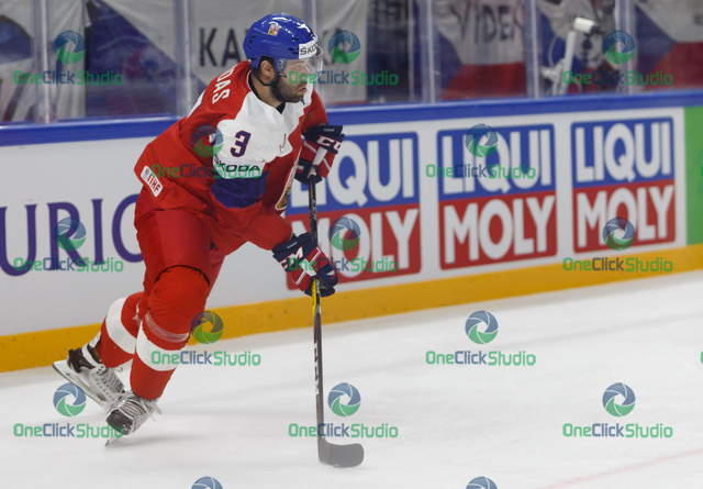 Radko Gudas (2)