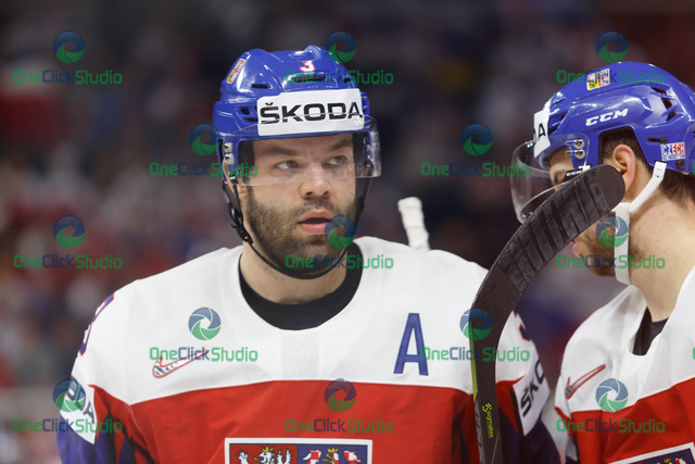 Radko Gudas