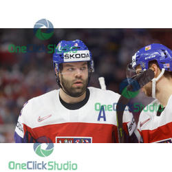 Radko Gudas