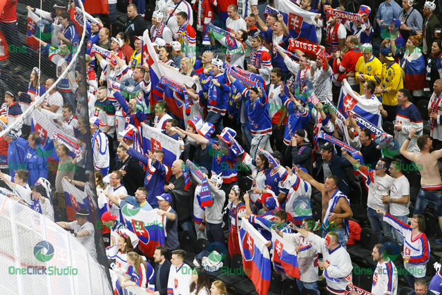 fanúšikovia Slovenska (2)