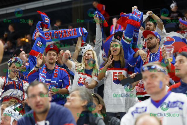 Fanúšikovia Slovenska