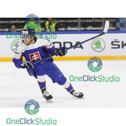 Michal Krištof (6)