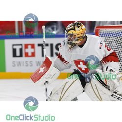 Reto Berra (2)