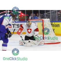 Reto Berra (3)