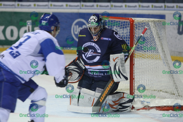 krotak hudacek