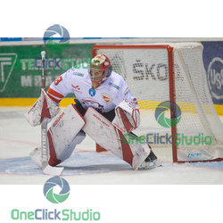 Duschek David