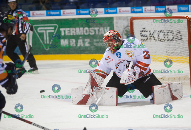 Duschek