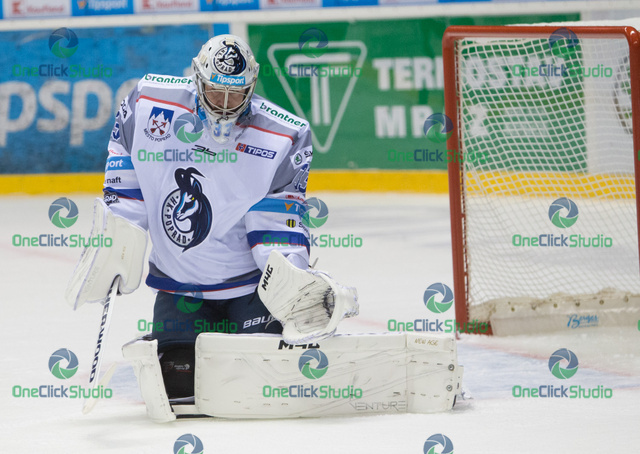 Tomáš Vošvrda (2)