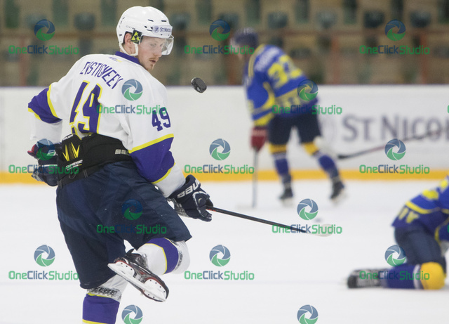 Michail Evstignejev