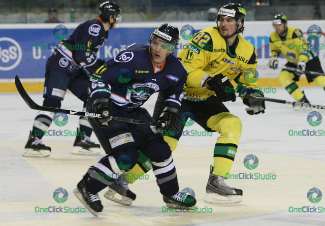 andrasovsky rufus