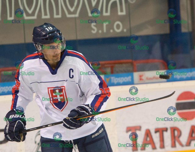 Šatan miroslav