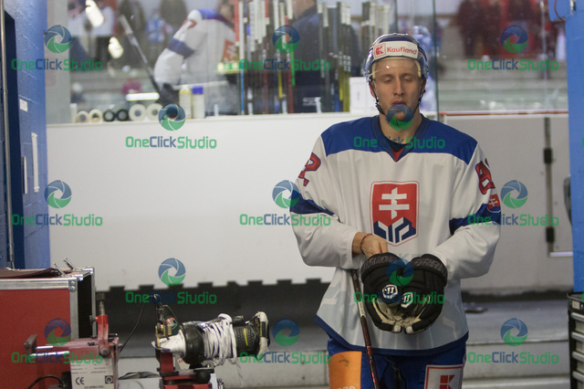 Radovan Puliš