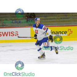 Puliš Radovan