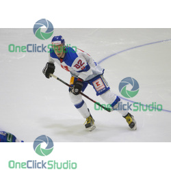 Radovan Puliš (2)