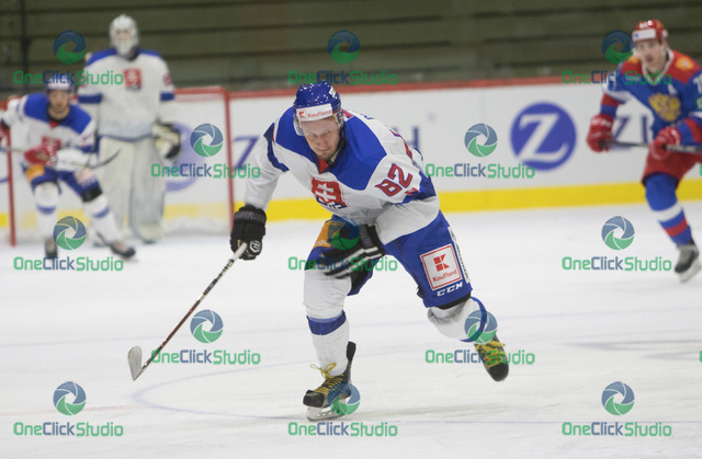 Puliš Radovan