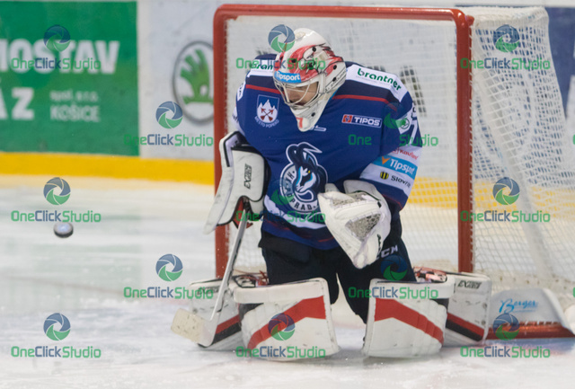 Patrik Nechvátal