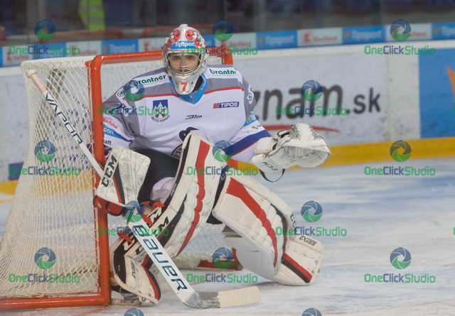 Patrik Nechvátal