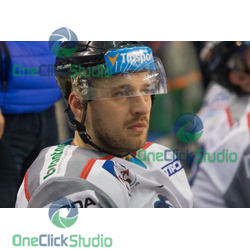 Radomír Heizer